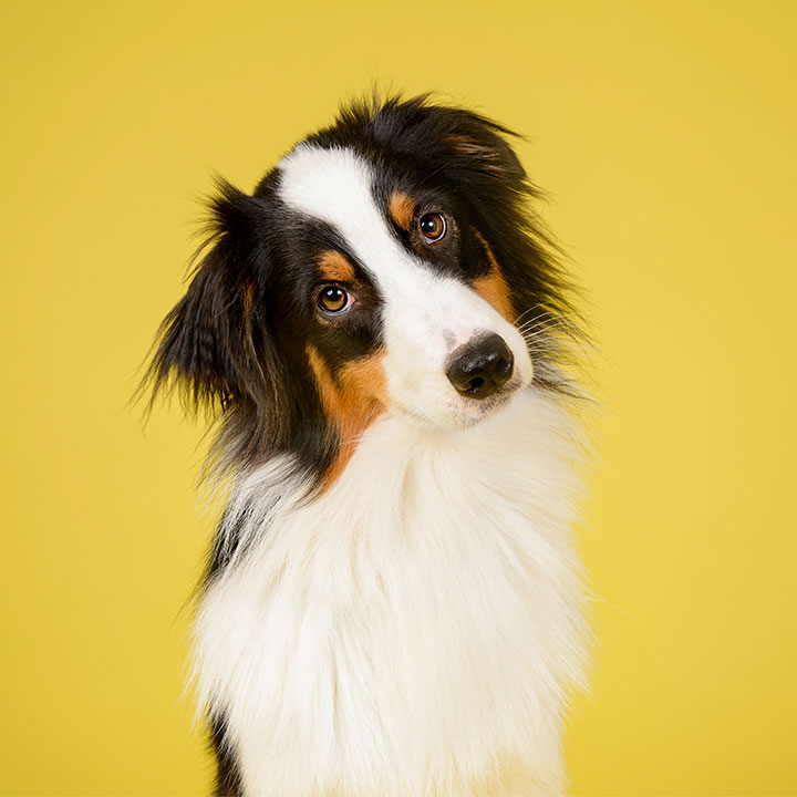 Hvad kan jeg selv gøre?