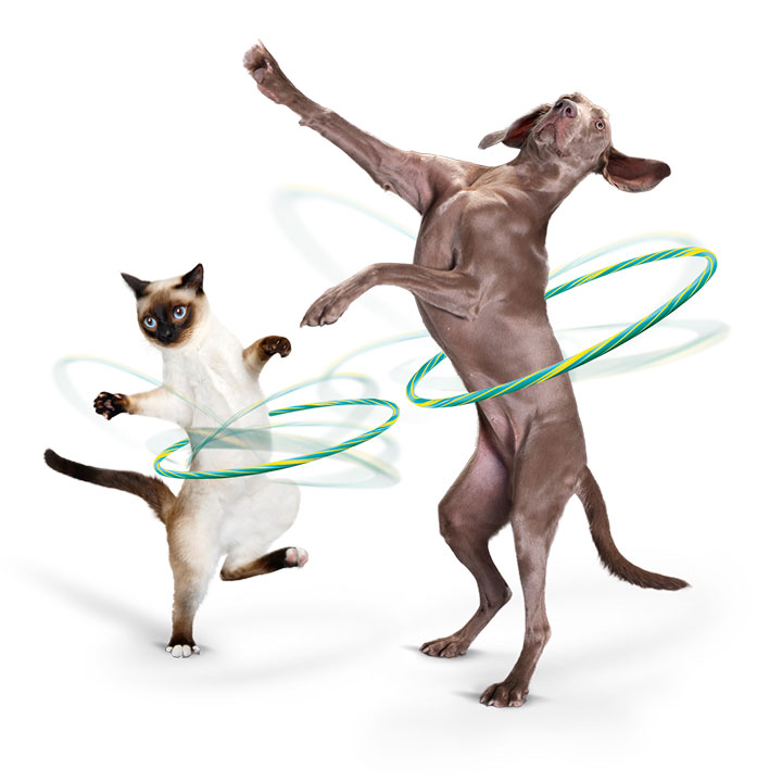 En afbalanceret tarmflora