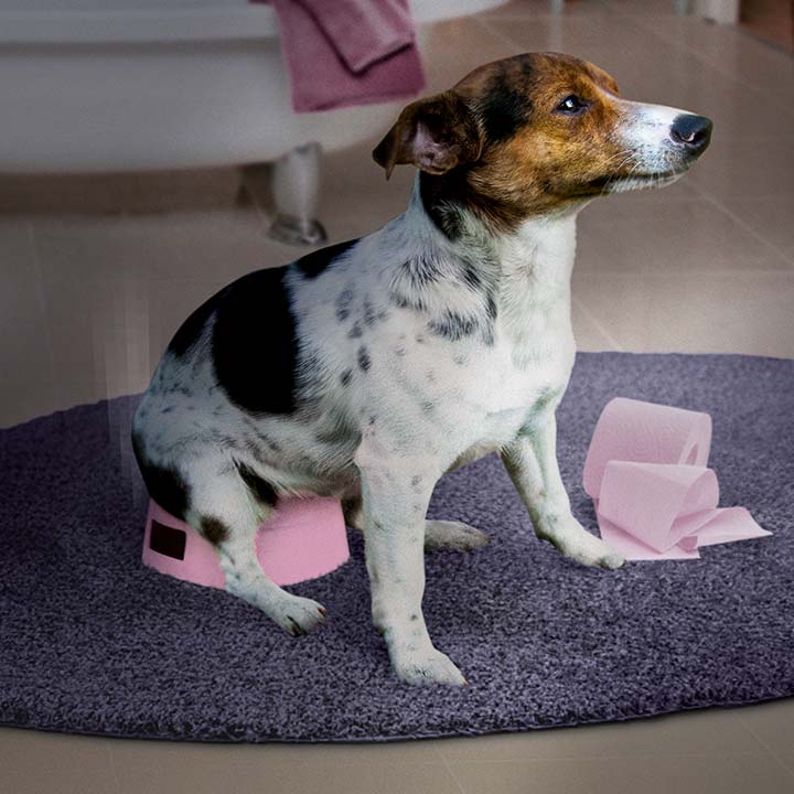 Undgå diarré i stressede situationer