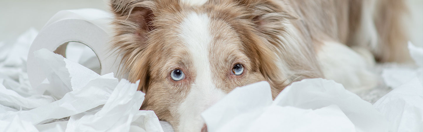 Er uheldet allerede ude?