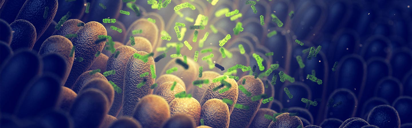 Canikur - virkning og anvendelse