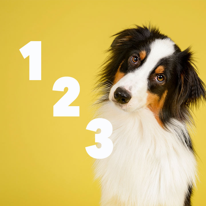 Canikur - tredobbelt kombination