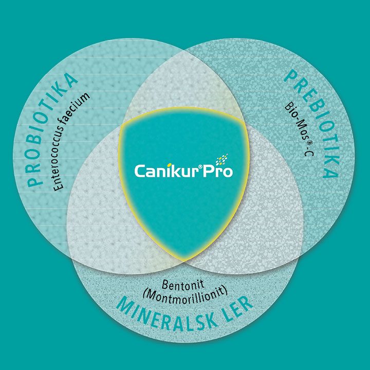 Canikur Pro - tredobbelt kombination