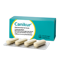 Canikur tyggetabletter