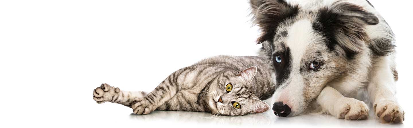 Forebyggelse af diarré