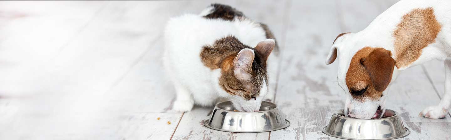 Årsager til diarré